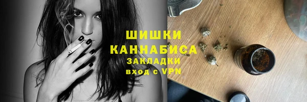мдпв Снежинск