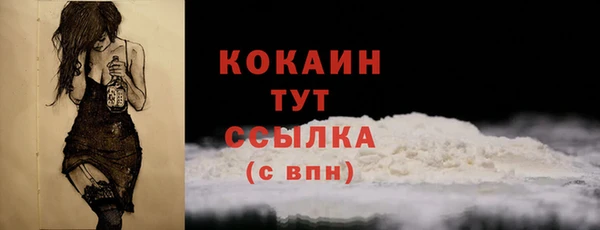 мдпв Снежинск