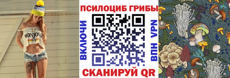 Галлюциногенные грибы Psilocybe  Купить закладки  Талдом 